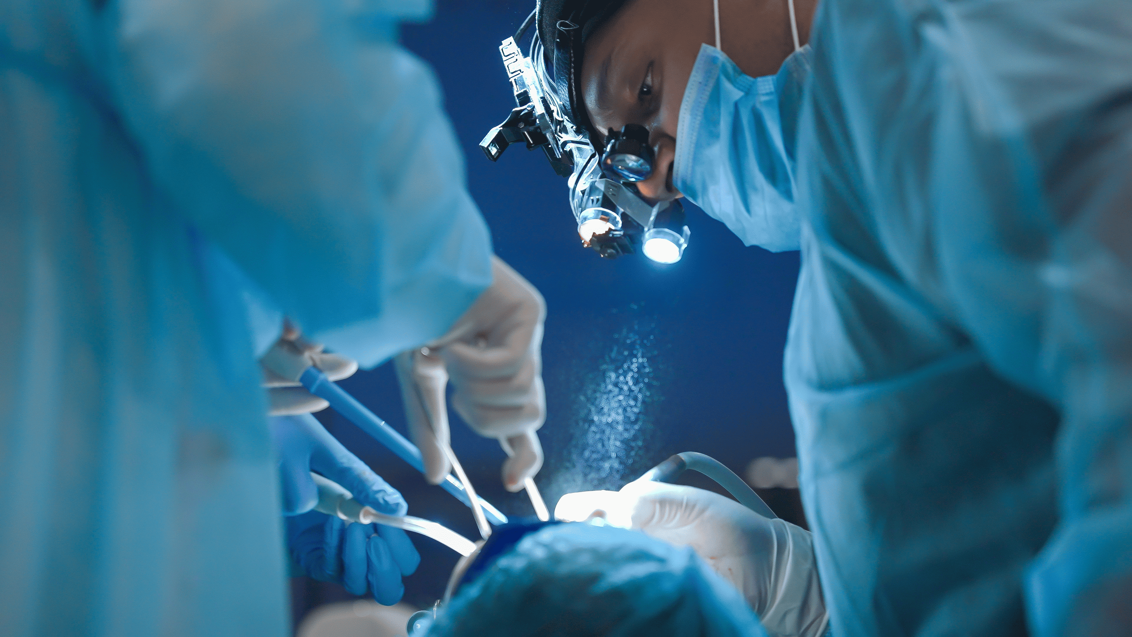 بيئة مستقرة